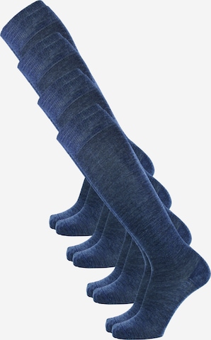 ROGO Knee High Socks in Blue: front
