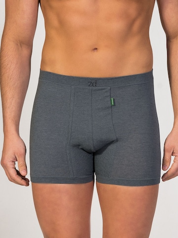 zd ZERO DEFECTS Boxershorts 'Helios fly front boxer' in Grau: Vorderseite