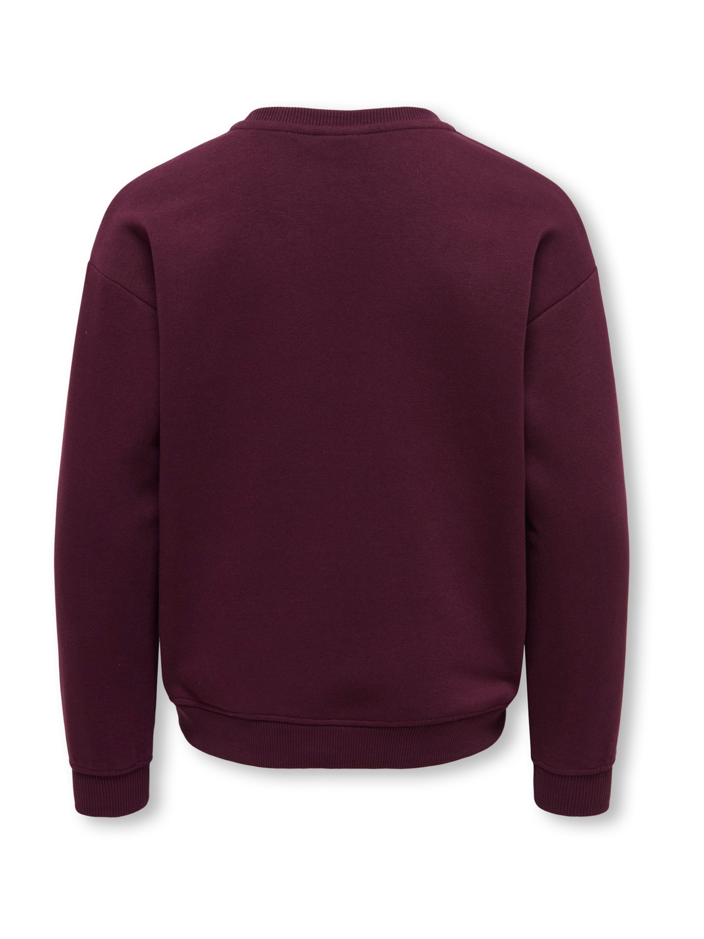 ONLY GIRLS Sweatshirt 'KOGXMAS DITTE' in Rood