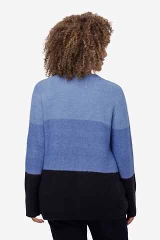 Ulla Popken Sweater in Blue