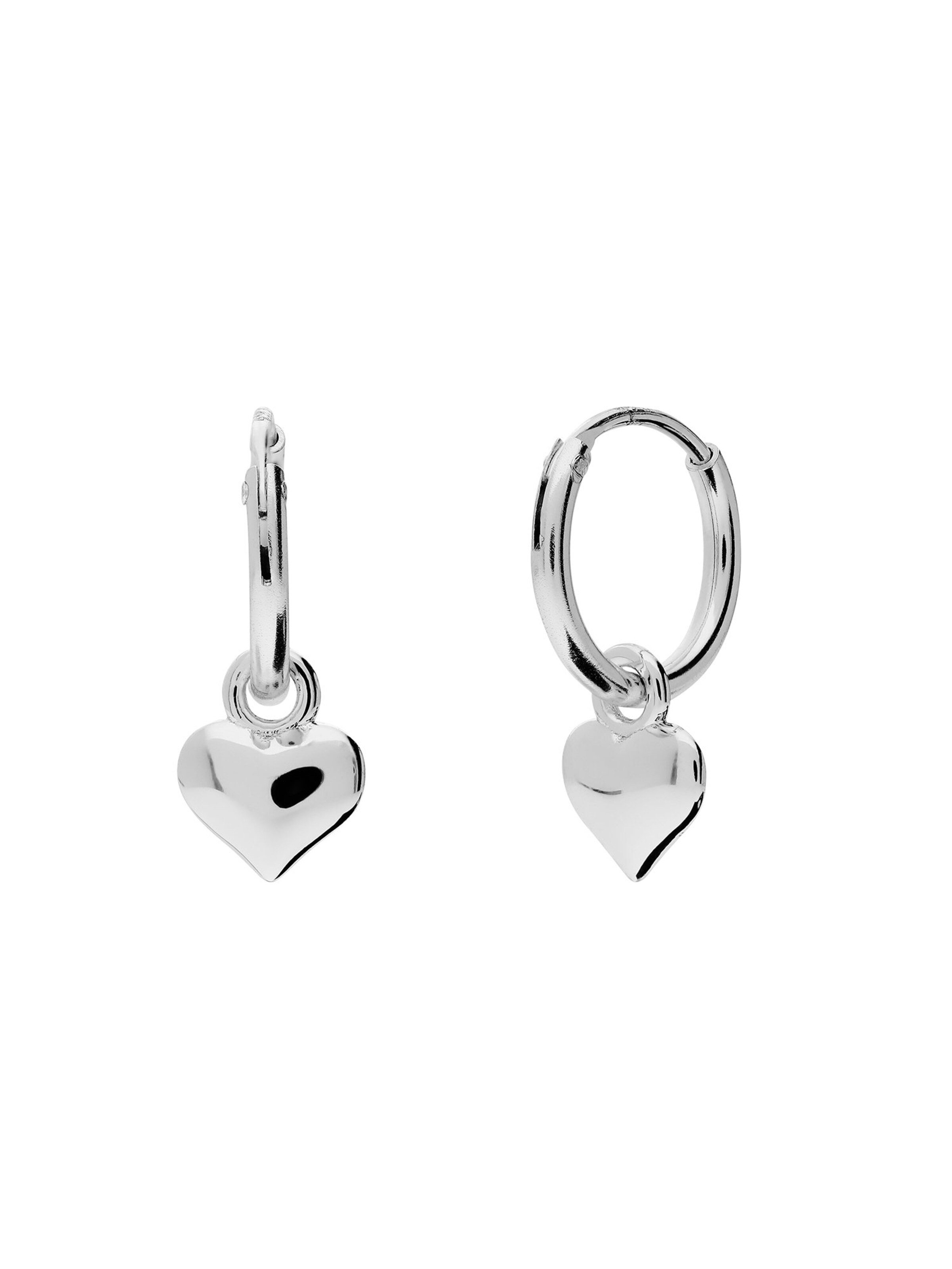 Lucardi Earrings in Silver: front