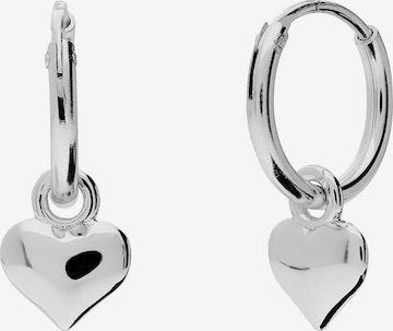 Lucardi Earrings in Silver: front