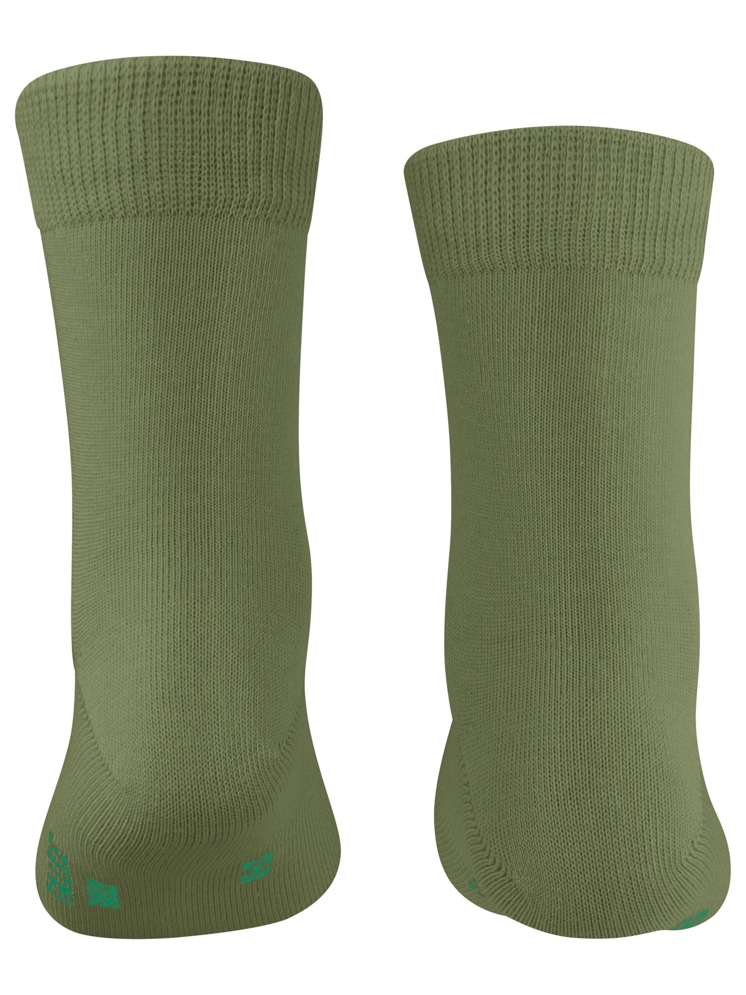 FALKE Socks 'Family' in Green
