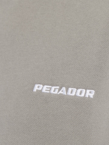 Pegador Sweatshirt in Grau