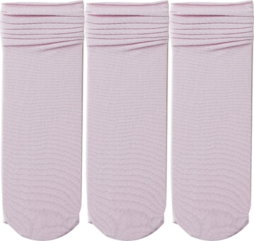 Millo Socks 'Ice Viskose' in Purple: front