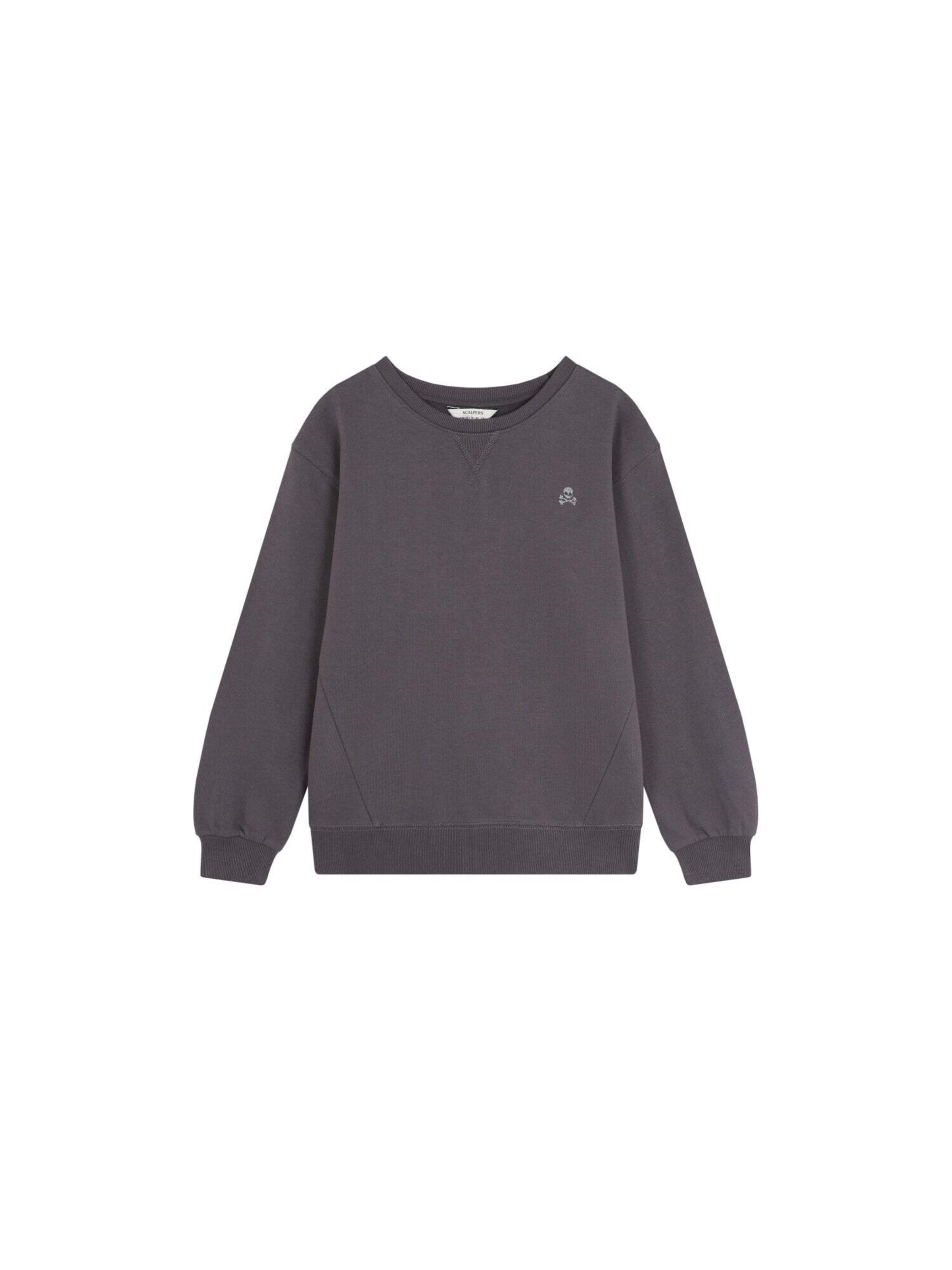 Felpa 'Guitar' di Scalpers in grigio: frontale