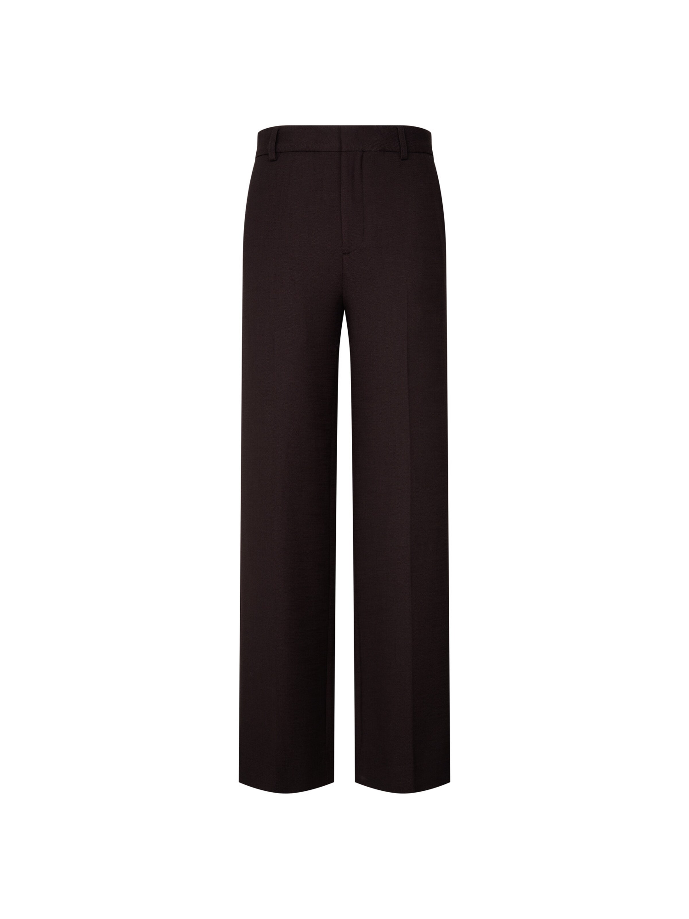 SEIDENSTICKER Pleated Pants in Brown: front