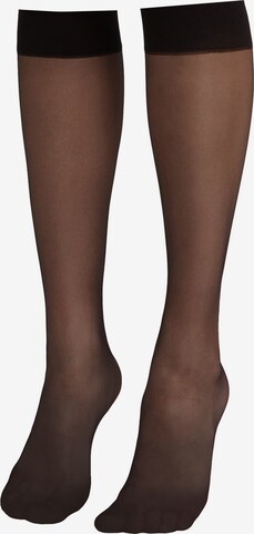 CALZEDONIA Knee High Socks in Black: front