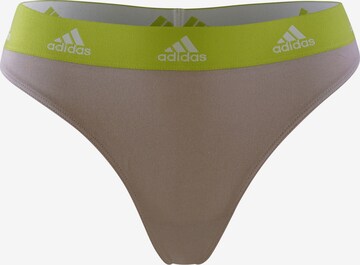 ADIDAS SPORTSWEAR Thong ' Active Comfort Cotton ' in Beige