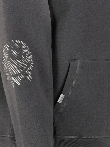 Sublevel Sweatshirt in Grau