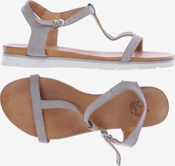 Apple of Eden Sandals & High-Heeled Sandals in 39 in Grey: front