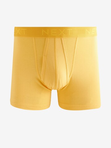 Next Boxershorts in Blauw