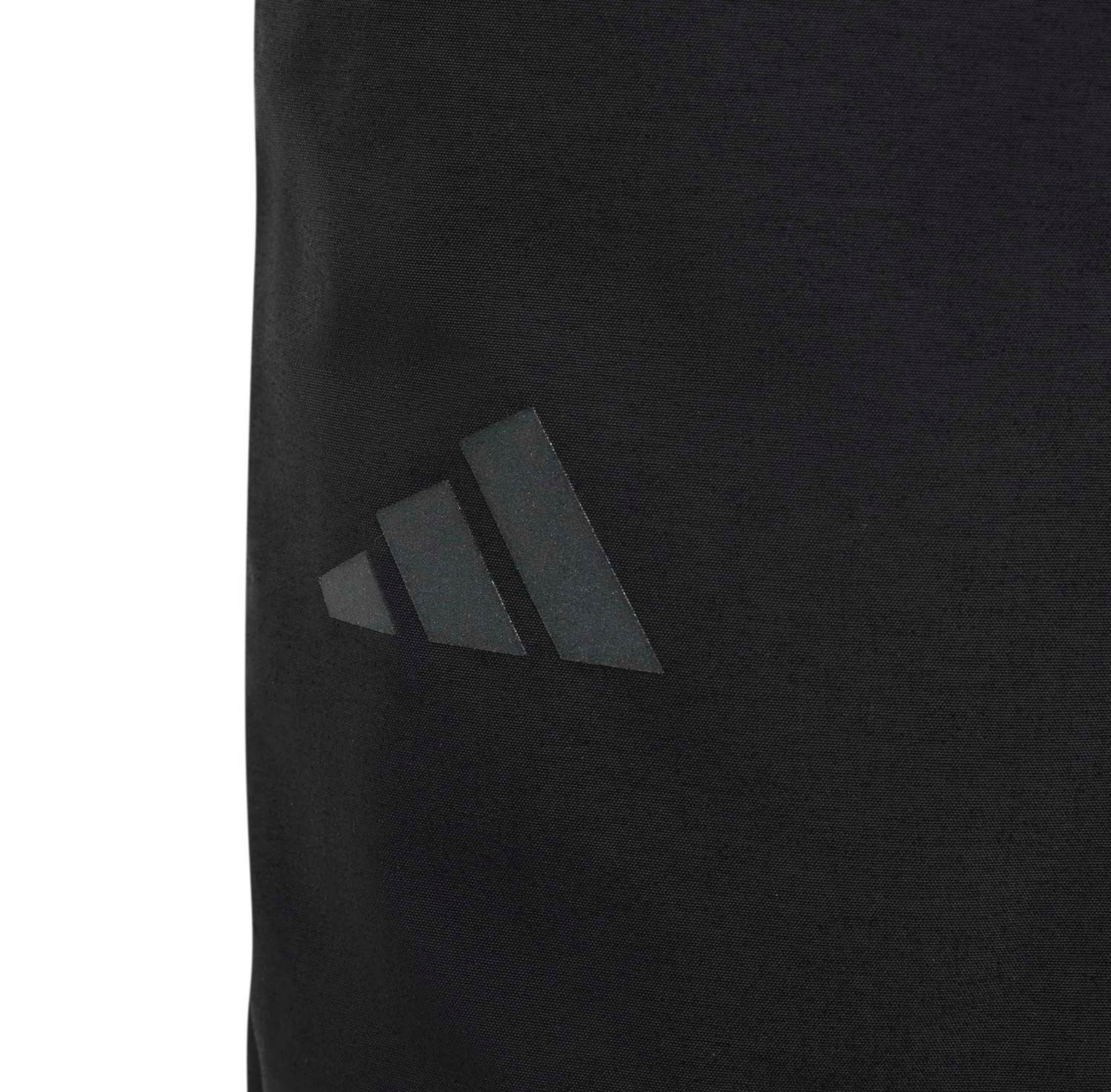 ADIDAS TERREX Regular Sportbyxa i svart