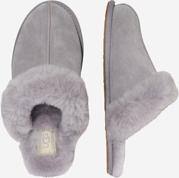 UGG Huisschoenen 'Scufette' in Grijs