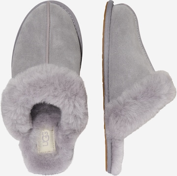 UGG Slippers 'Scufette' in Grey