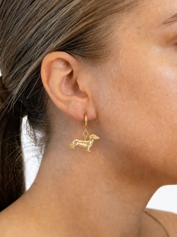 Fräulein Wunder Ohrringe 'Dackel'‌‌‌‌‌‌‌‌‌‌ in Gold: Vorderseite