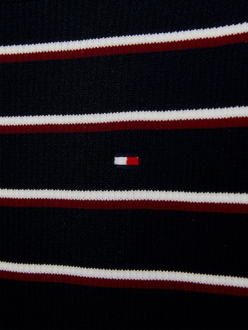 TOMMY HILFIGER Sweater in Blue