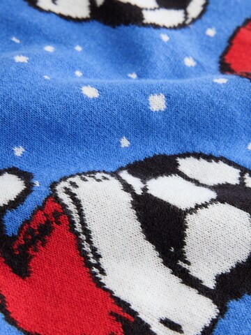 Next Sweater in Blue