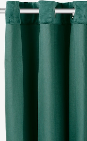 MY HOME Curtains & Drapes in Green