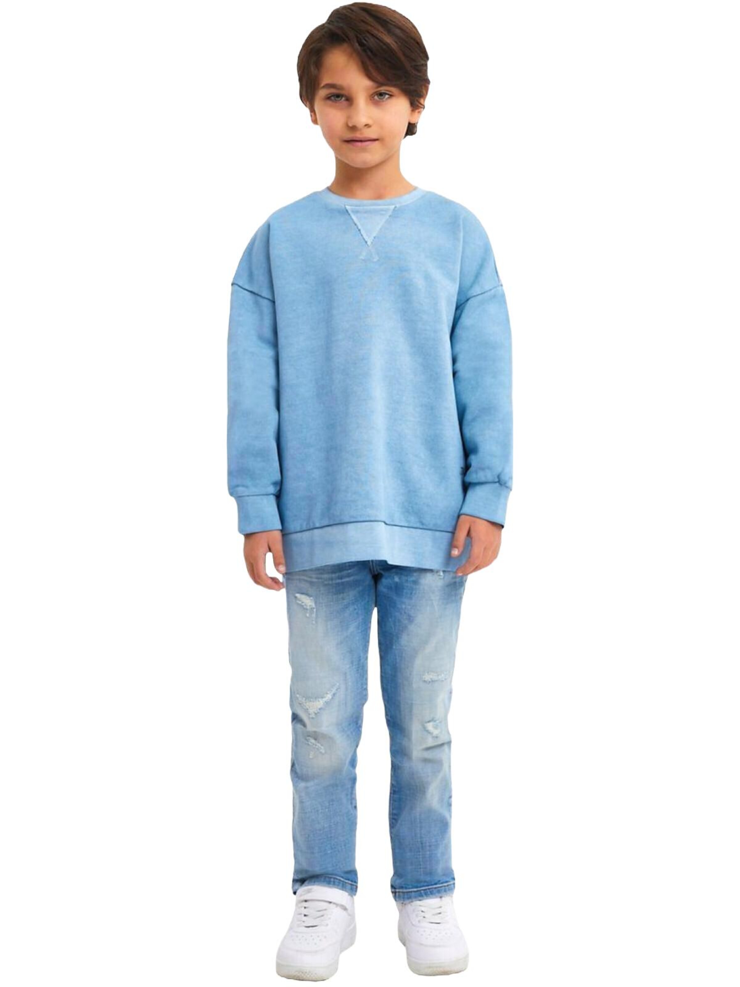 LTB Jeans Sweatshirt 'Basic'‌‌ in Blau