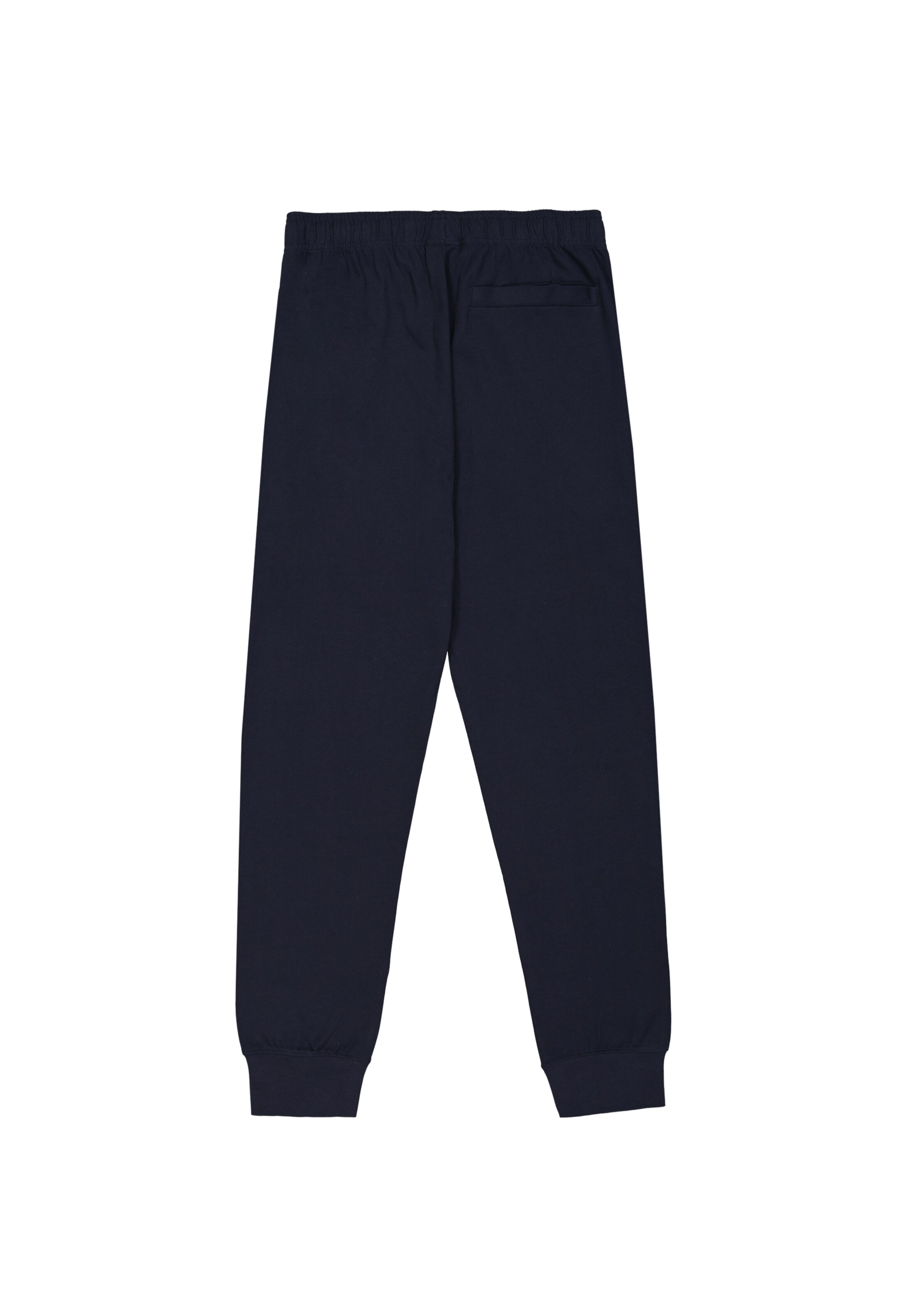 Champion Authentic Athletic Apparel Tapered Pants in Blue