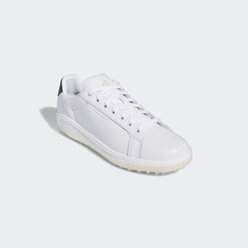 Chaussure de sport 'Go-To Spikeless 2.0' ADIDAS PERFORMANCE en blanc