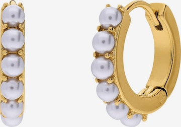 Boucles d'oreilles Lucardi en or : devant