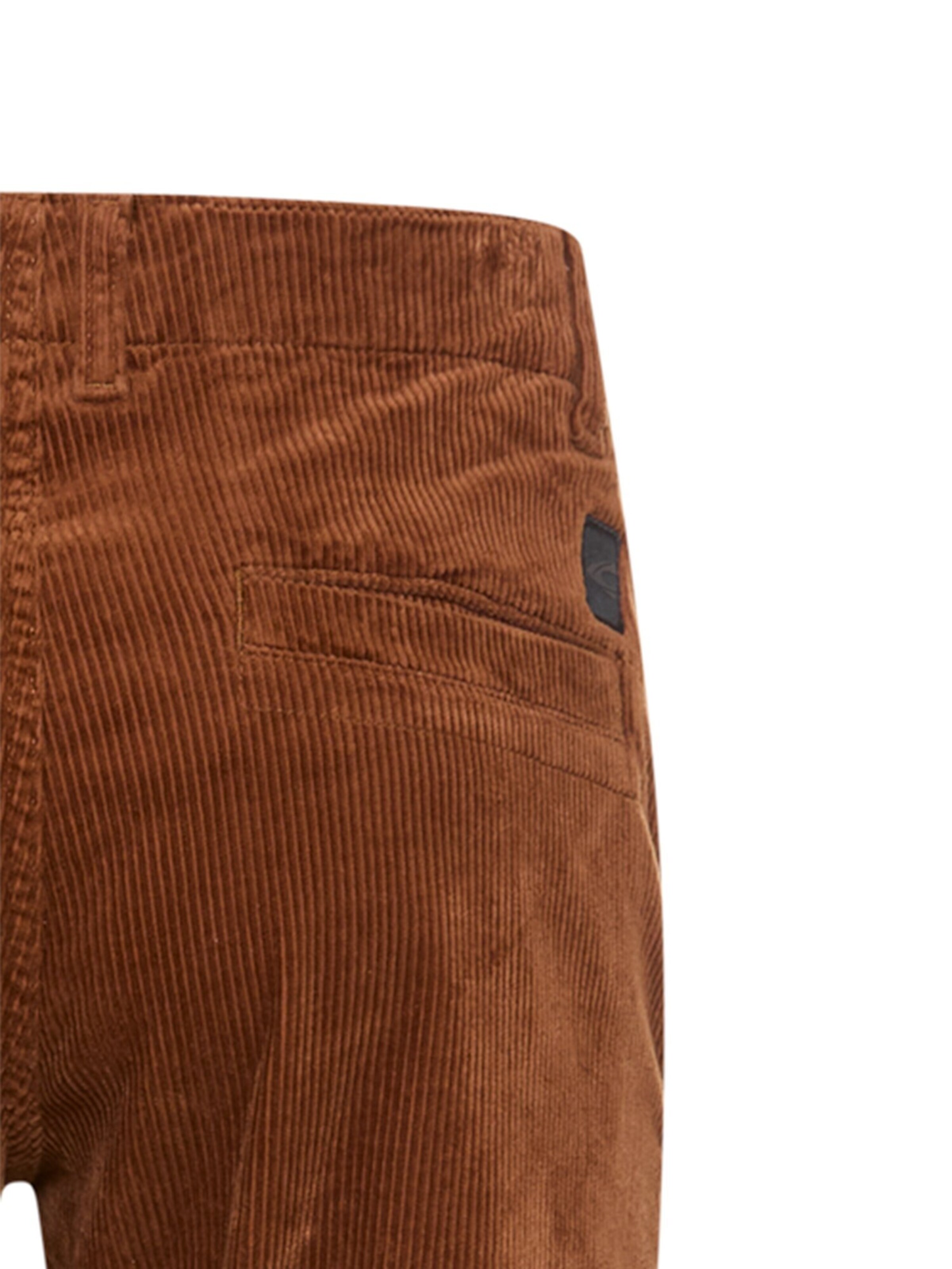 CAMEL ACTIVE Regular Chino Pants in Brown
