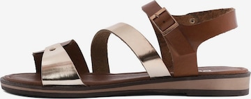 Derimod Sandaal in Bruin: voorkant