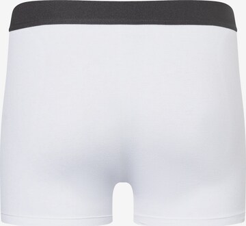 camano Boxer shorts in White