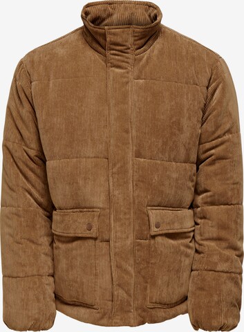 Only & Sons Between-Season Jacket 'Cash' in Brown: front