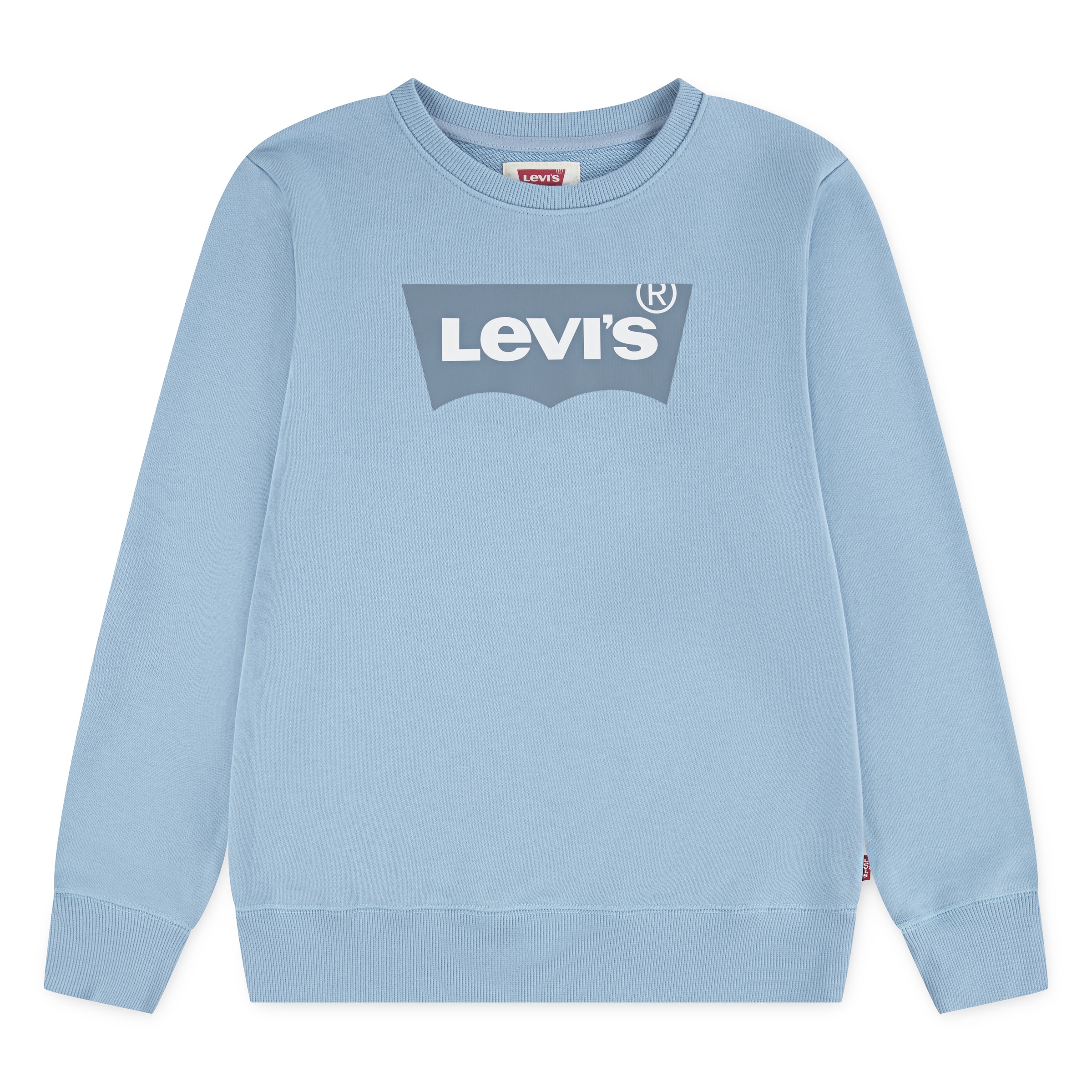 Levi's Kids Sweatshirt in Blue: front
