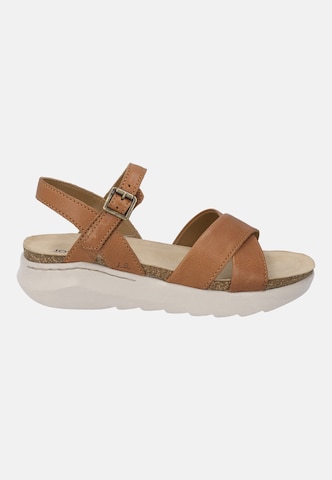 JOSEF SEIBEL Strap sandal 'Celine 03' in Beige