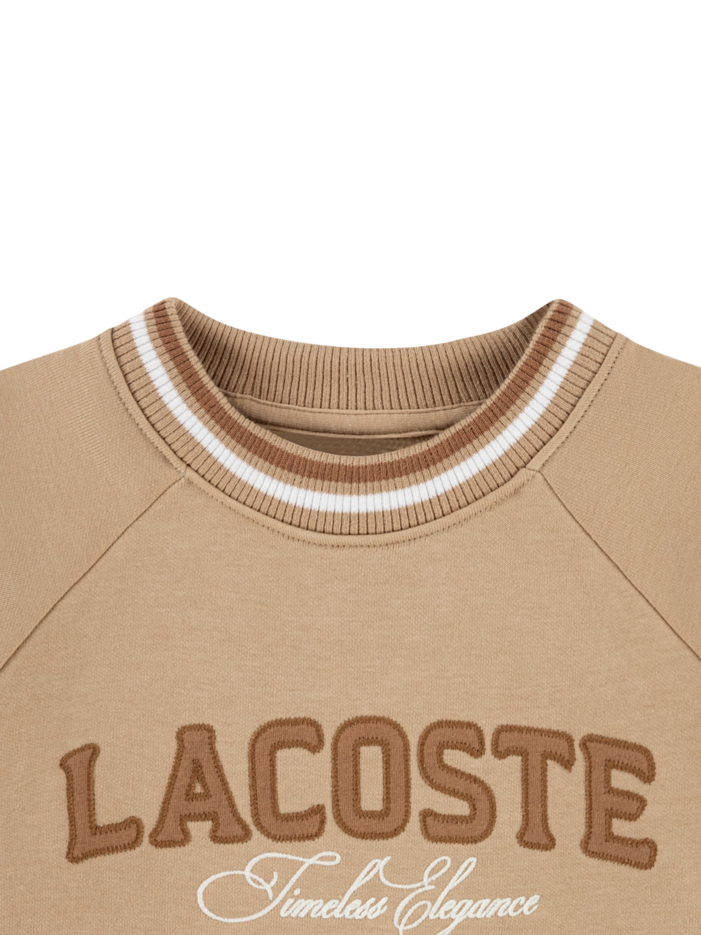 LACOSTE Sweatshirt in Braun