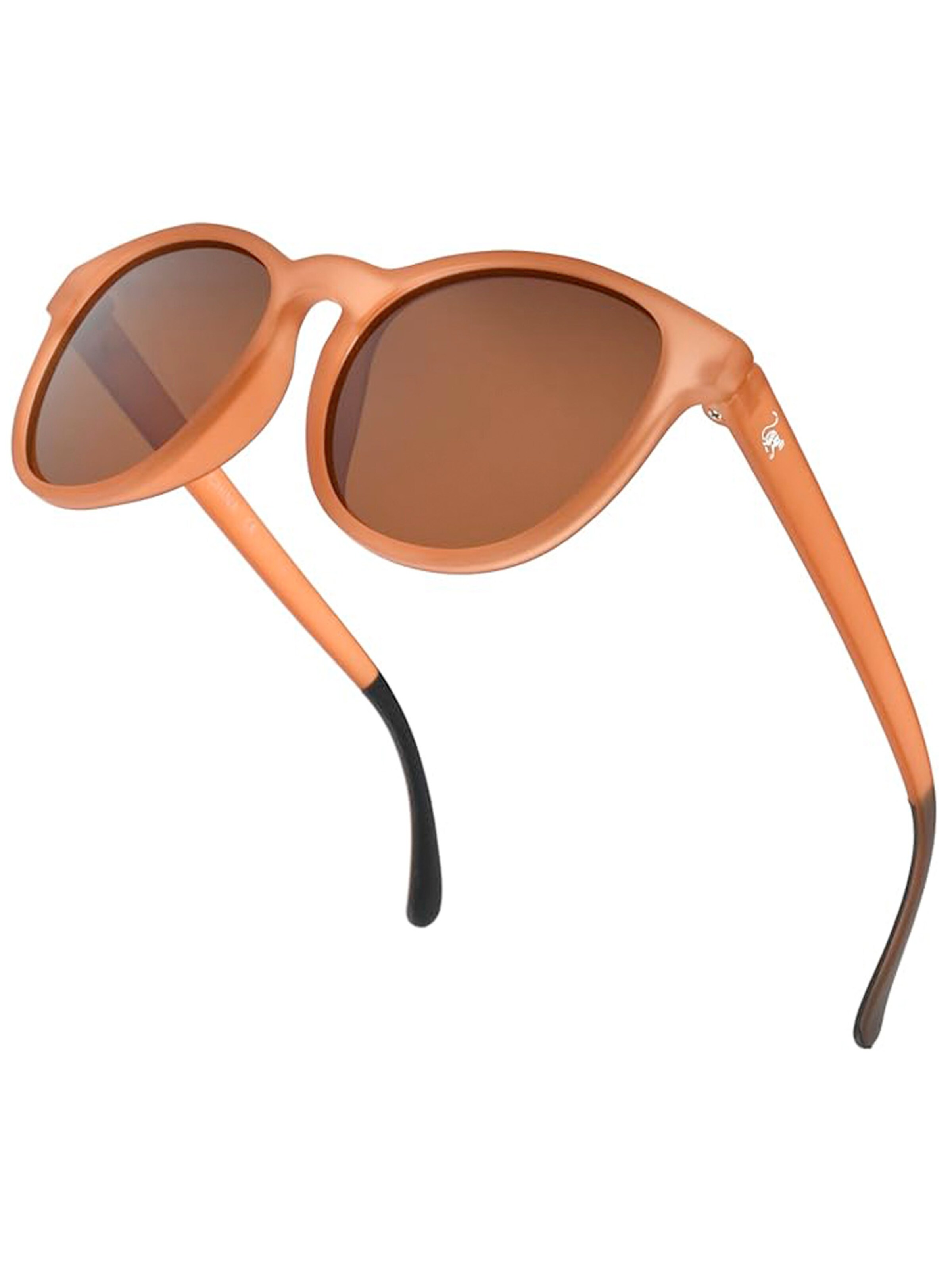 Occhiali da sole di Surf Monkey in marrone