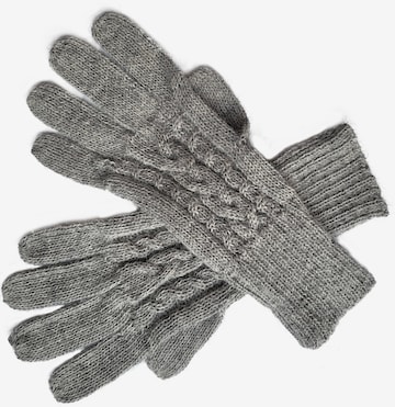 Posh Gear Fingerhandschuhe 'Guantibrada' in Grau: Vorderseite