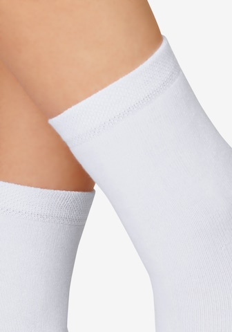 H.I.S Socks in White