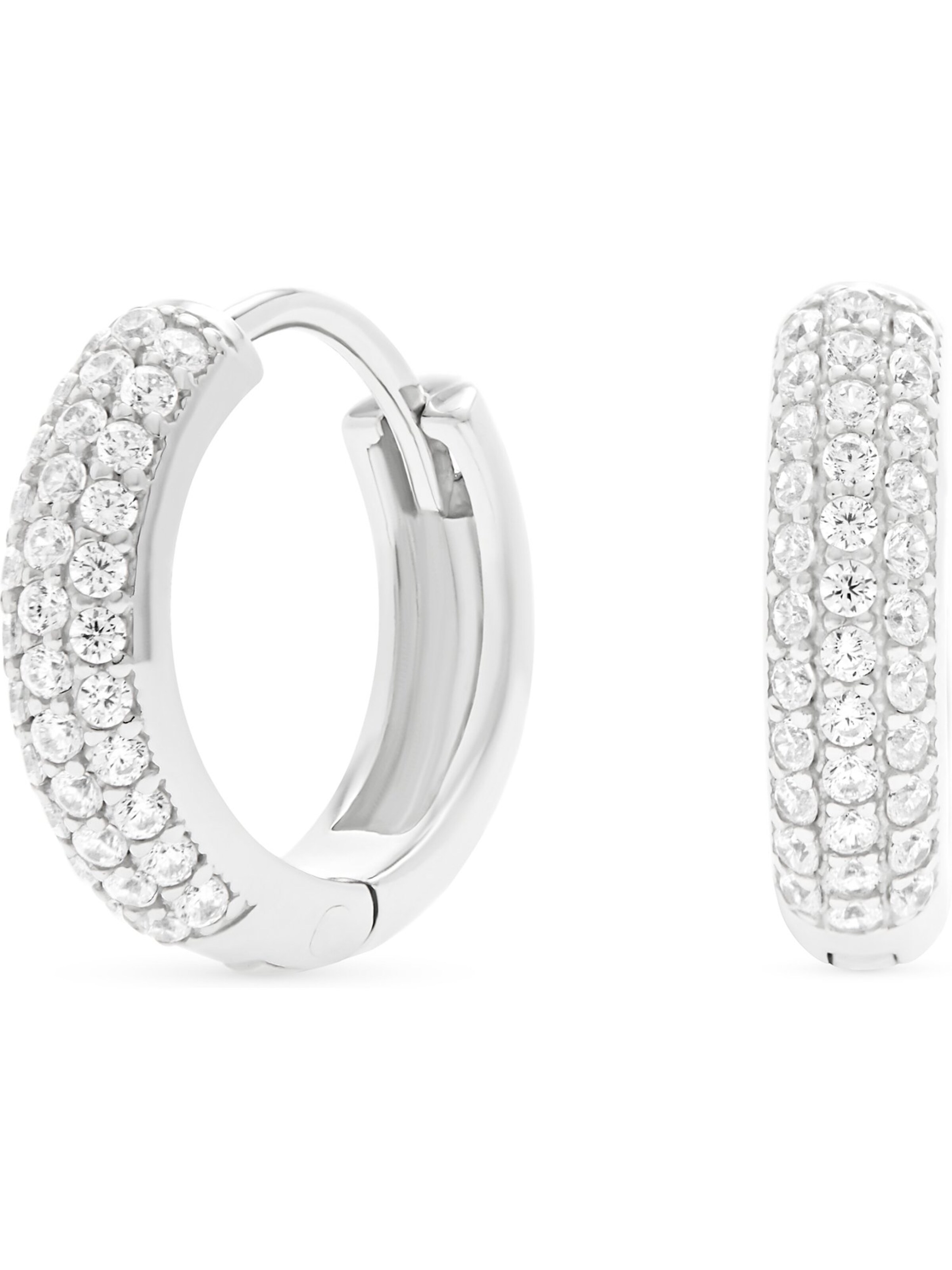 FAVS Earrings in Silver