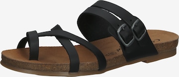 COSMOS COMFORT T-Bar Sandals in Black: front