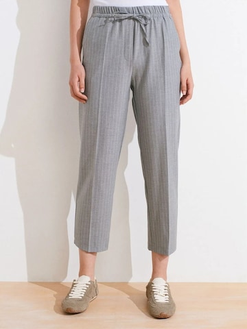 Regular Pantalon Dilvin en gris