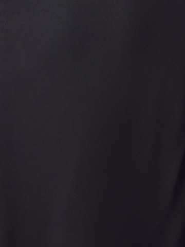 Willa Рокля 'Norfolk' в черно