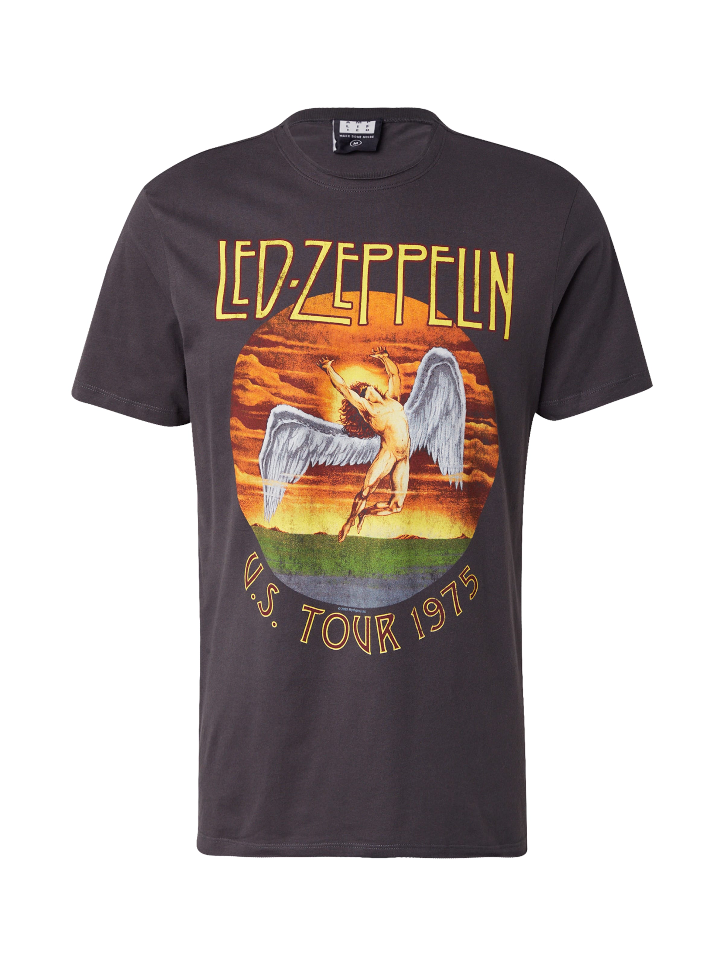 AMPLIFIED Shirt 'LED ZEPPELIN TOUR 75' in Grey: front