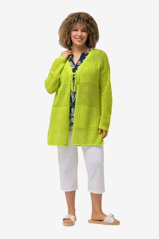 Ulla Popken Knit Cardigan in Green