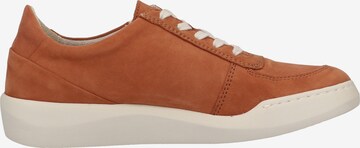 Softinos Sneakers in Brown