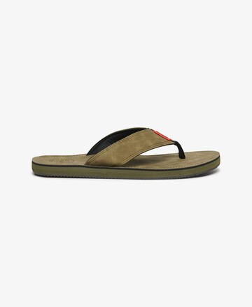 Superdry Teenslippers in Groen