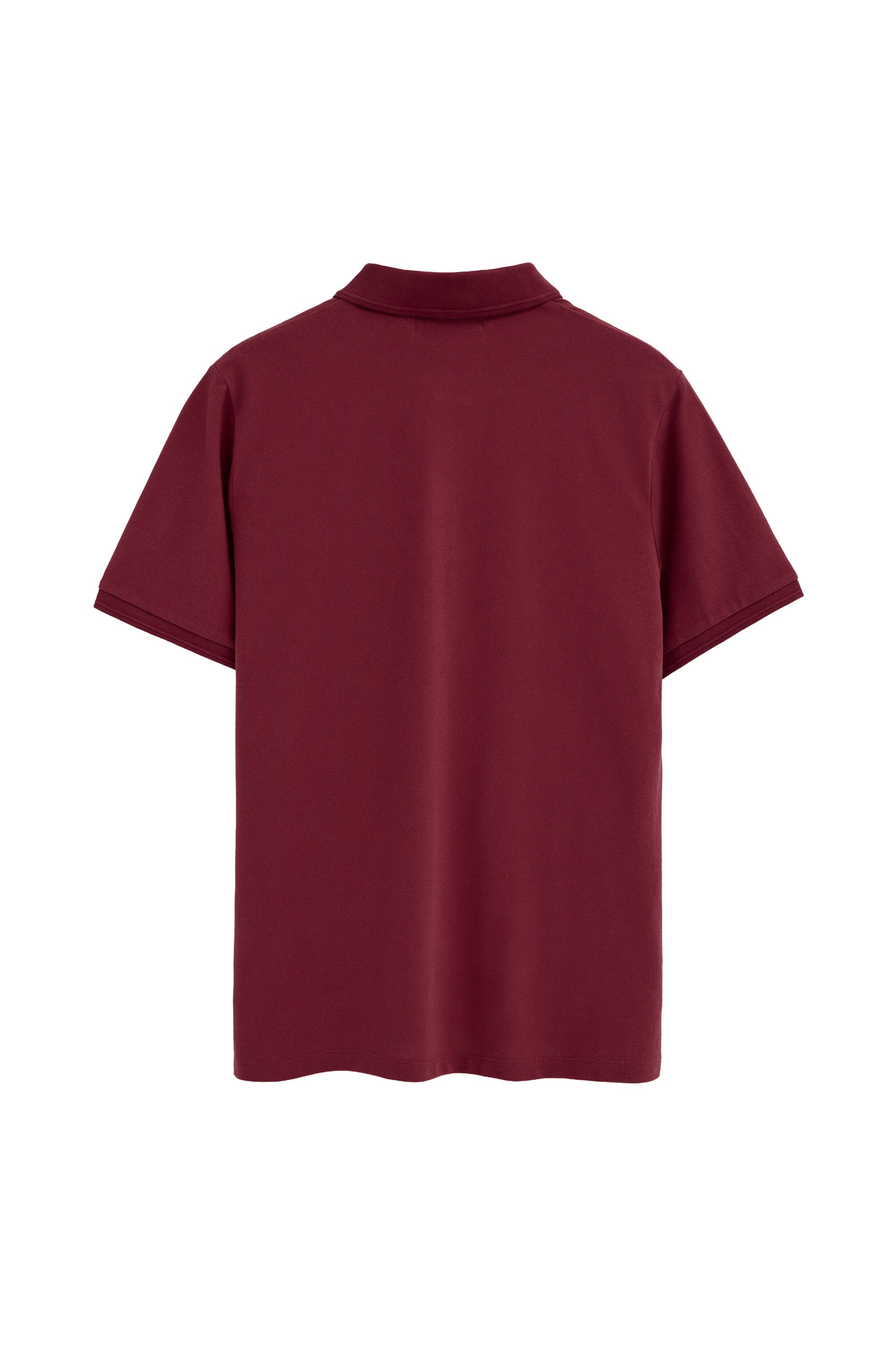 Polo Club Shirt in Mixed colors