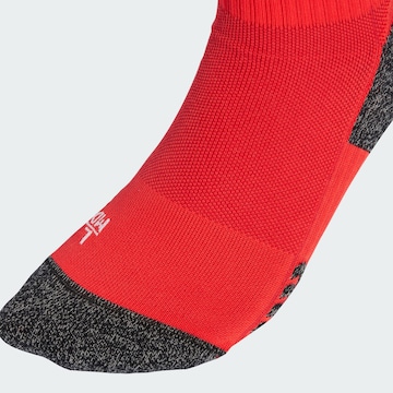 ADIDAS PERFORMANCE Sportsocken 'Benfica Lissabon 25/26' in Rot