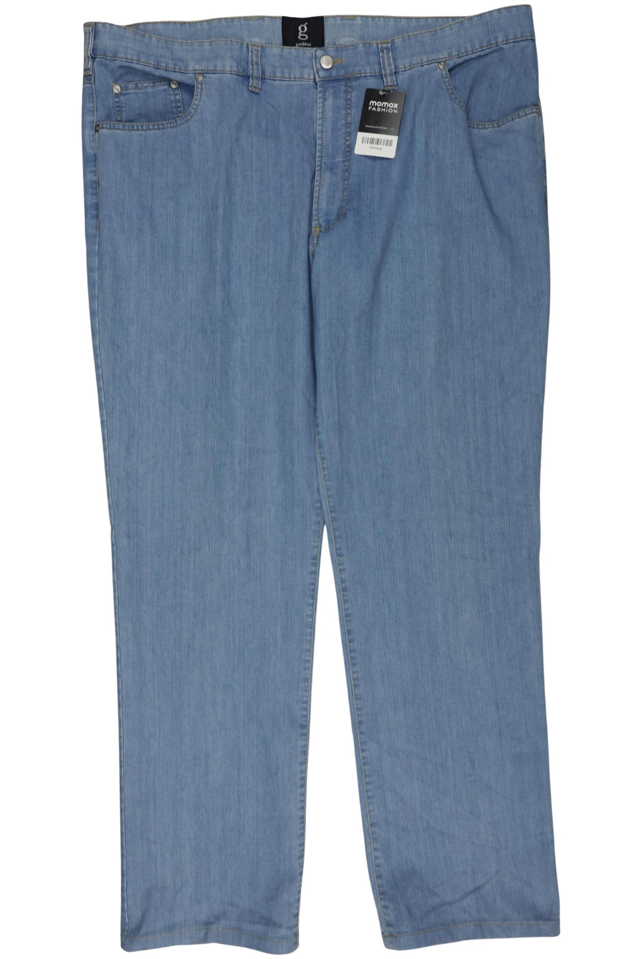 ATELIER GARDEUR Pants in 44 in Blue: front