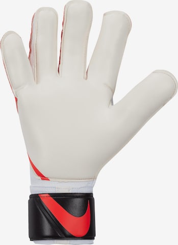 NIKE Athletic Gloves in Mixed colors