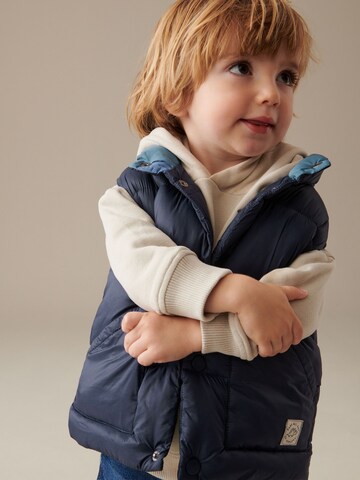 Gilet di Next in blu